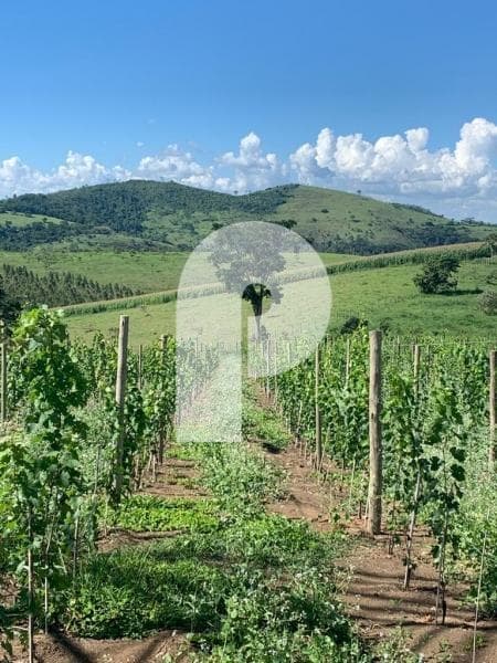 Terreno Residencial à venda em Centro, Areal - RJ