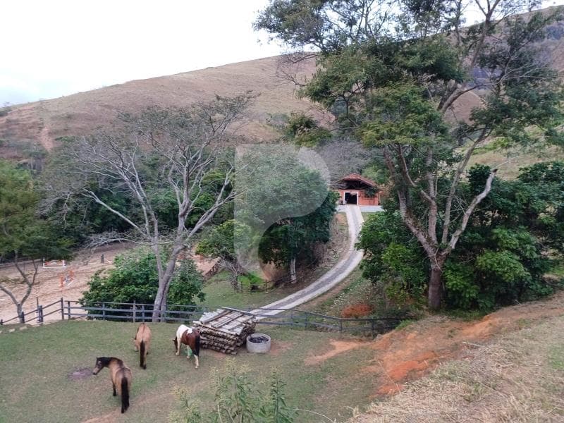 Fazenda / Sítio à venda em Pedro do Rio, Petrópolis - RJ