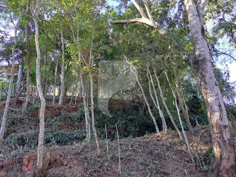Terreno Residencial à venda em Nogueira, Petrópolis - RJ