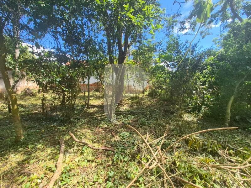 Imóvel Comercial à venda em Itaipava, Petrópolis - RJ