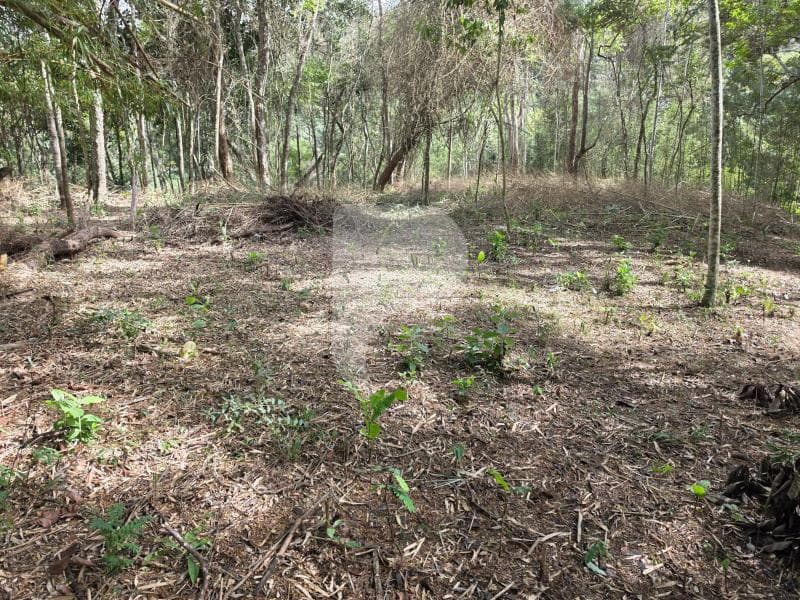 Terreno Residencial à venda em Araras, Petrópolis - RJ