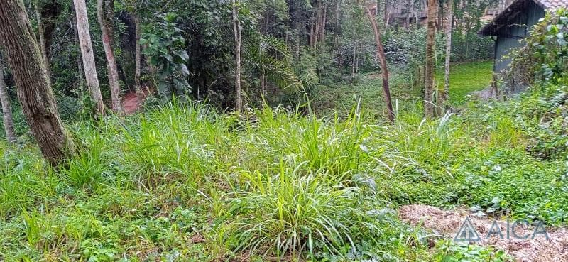 Terreno Comercial à venda em Araras, Petrópolis - RJ